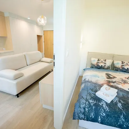 Alegrima 미에드지고르체