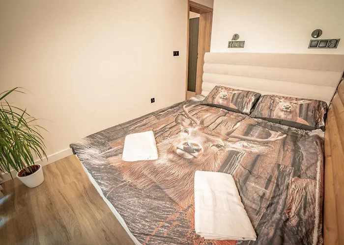 Alegrima Miedzygorze